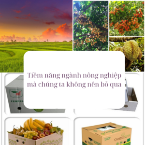 Tiềm năng ngành nông nghiệp mà chúng ta không nên bỏ qua