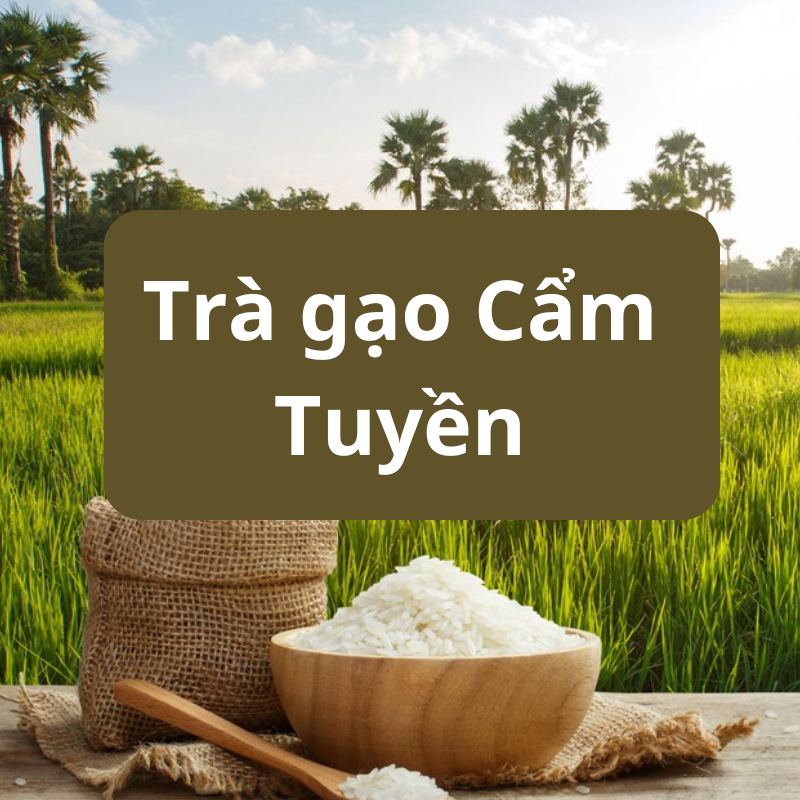 Trà gạo Cẩm Tuyền
